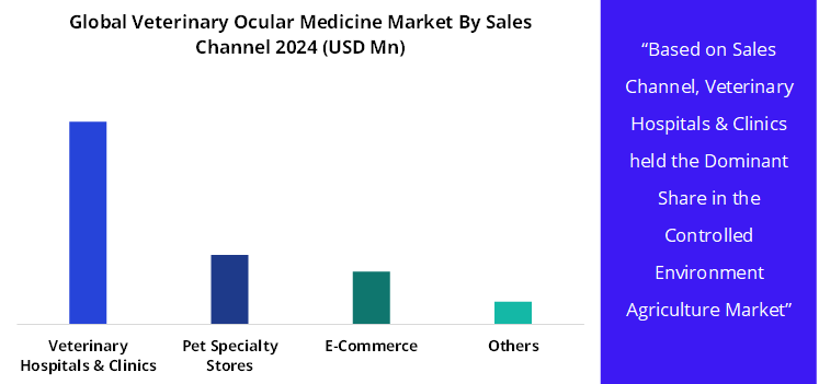 Global Veterinary Ocular Medicine Market By Sales Channel 2024 (USD Mn)